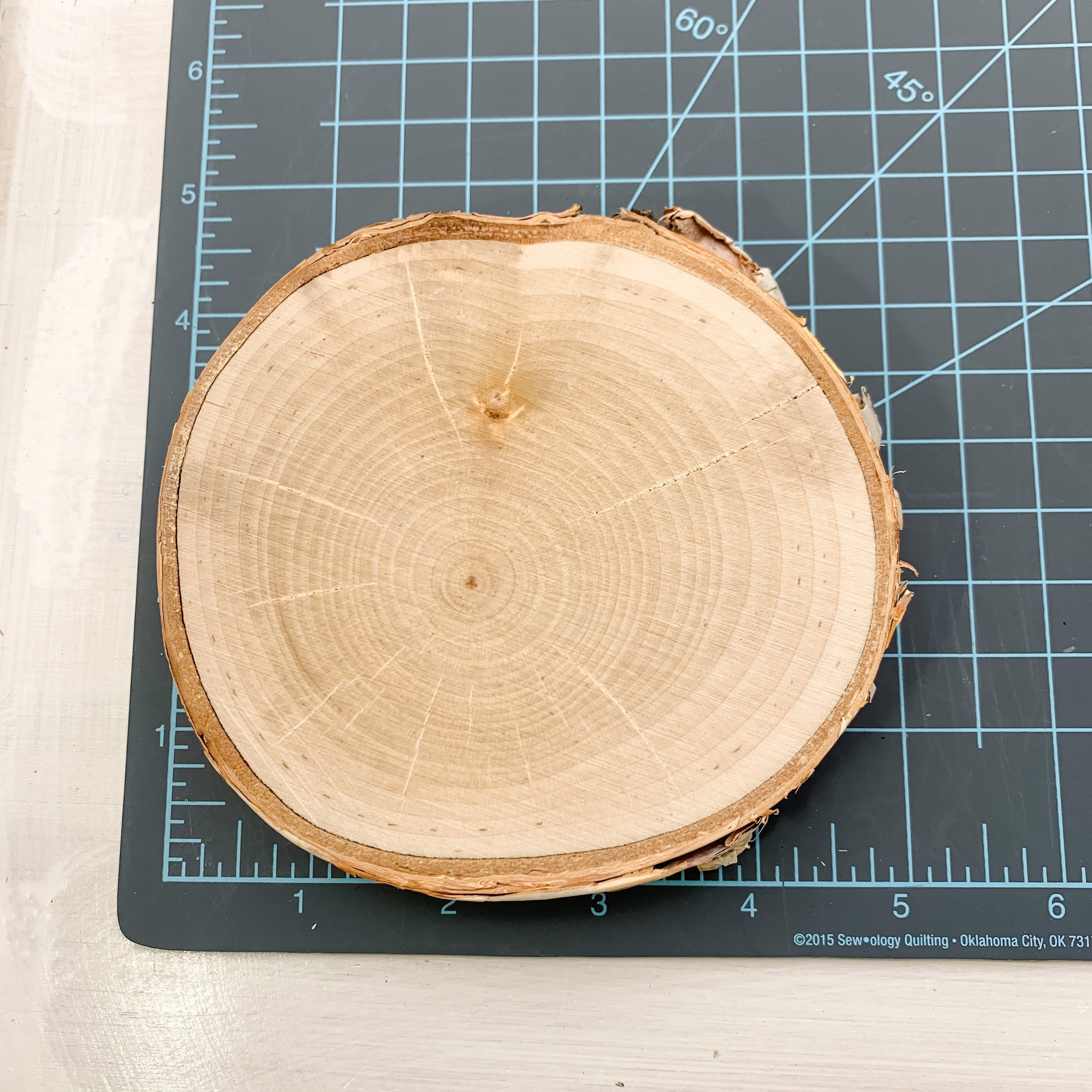 White Birch Tree Round Crystal Coaster - Interiors in Balance
