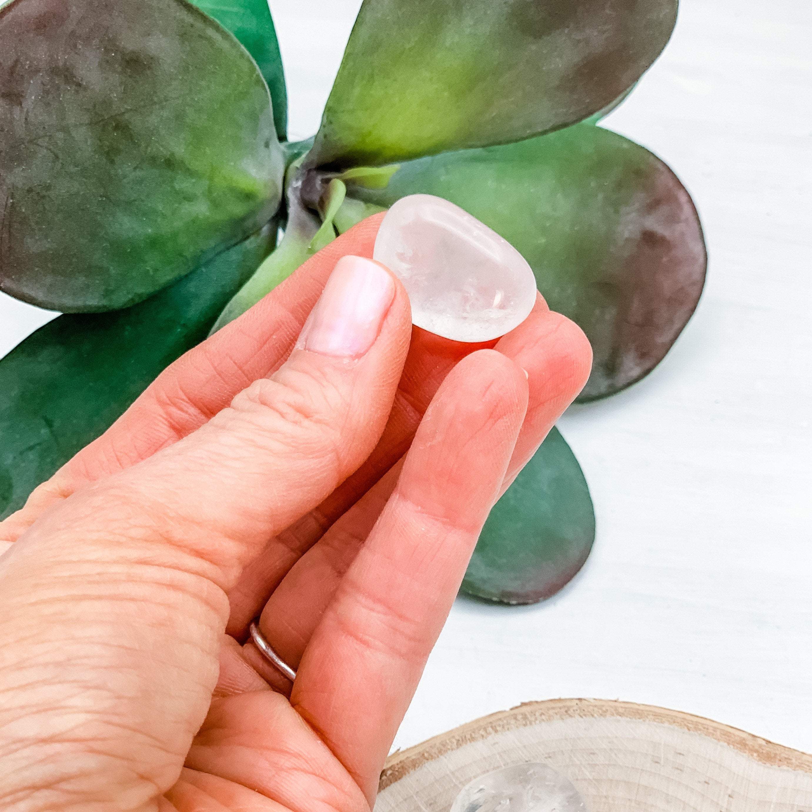 Clear Quartz Crystal, Tumbled, Polished Stone (1”) - Interiors in Balance