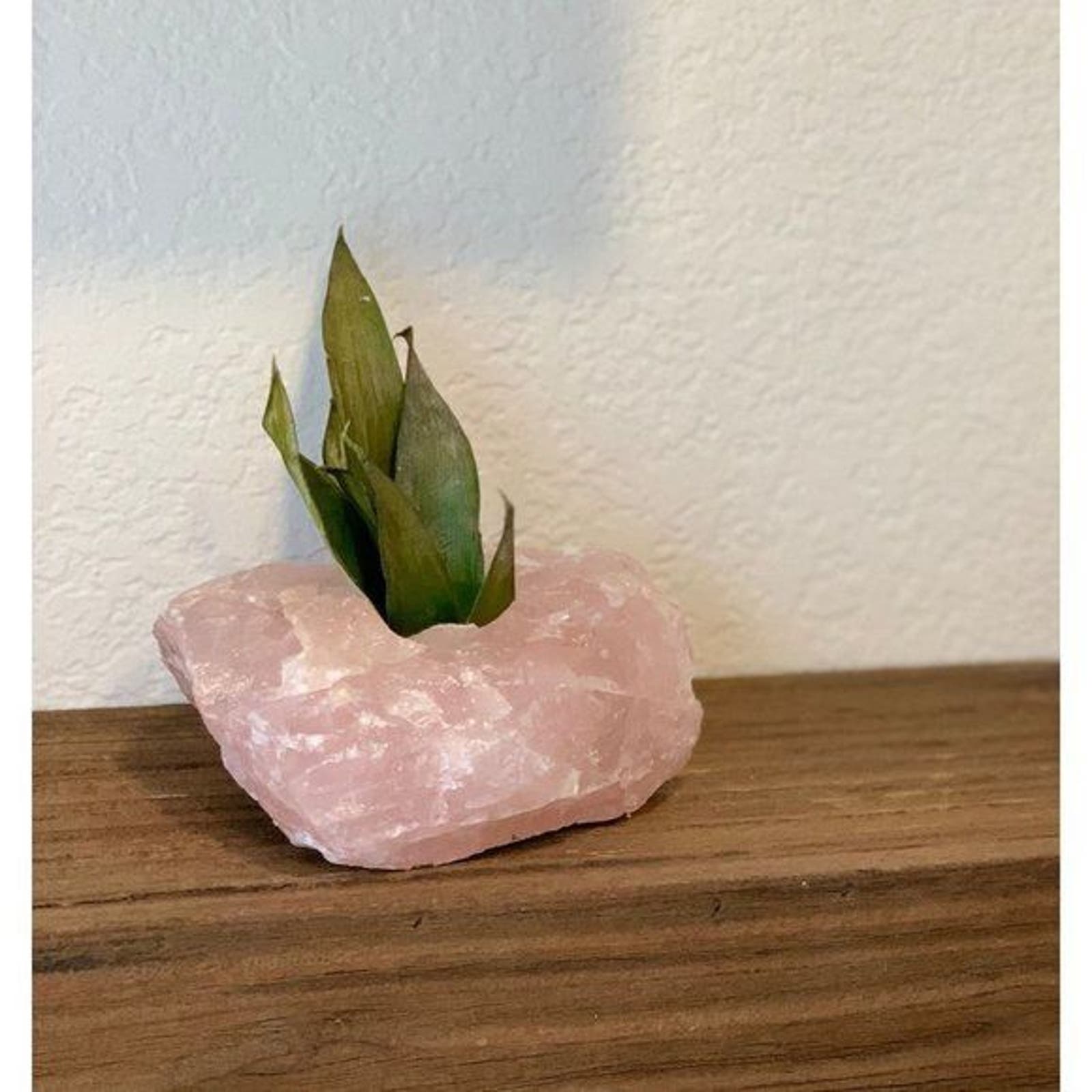 rose quartz air plant Crystal Candle Holder, Raw Rose Quartz, Stone Succulent Holder, Air-Pl – INTERIORS IN BALANCE