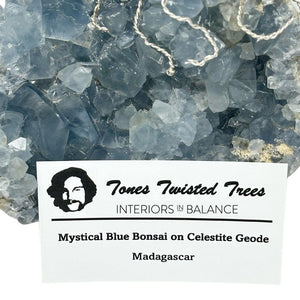 Wire Tree, Mystical Blue Bonsai on Celestite Geode Base from Madagascar