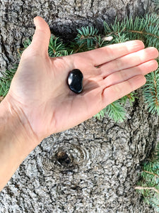 Black Onyx Crystal Tumbled  Stone - Interiors in Balance