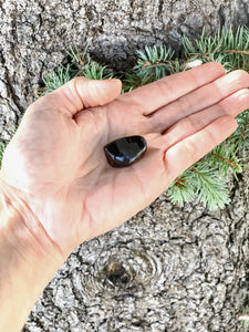 Black Onyx Crystal Tumbled  Stone - Interiors in Balance