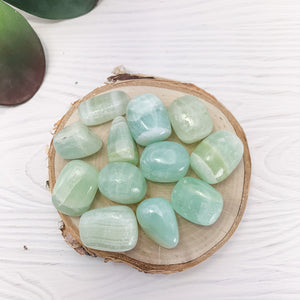 Caribbean, Pistachio, Green Calcite Tumbled Pocket Stone - Interiors in Balance