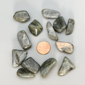 Labradorite Tumbled Stones