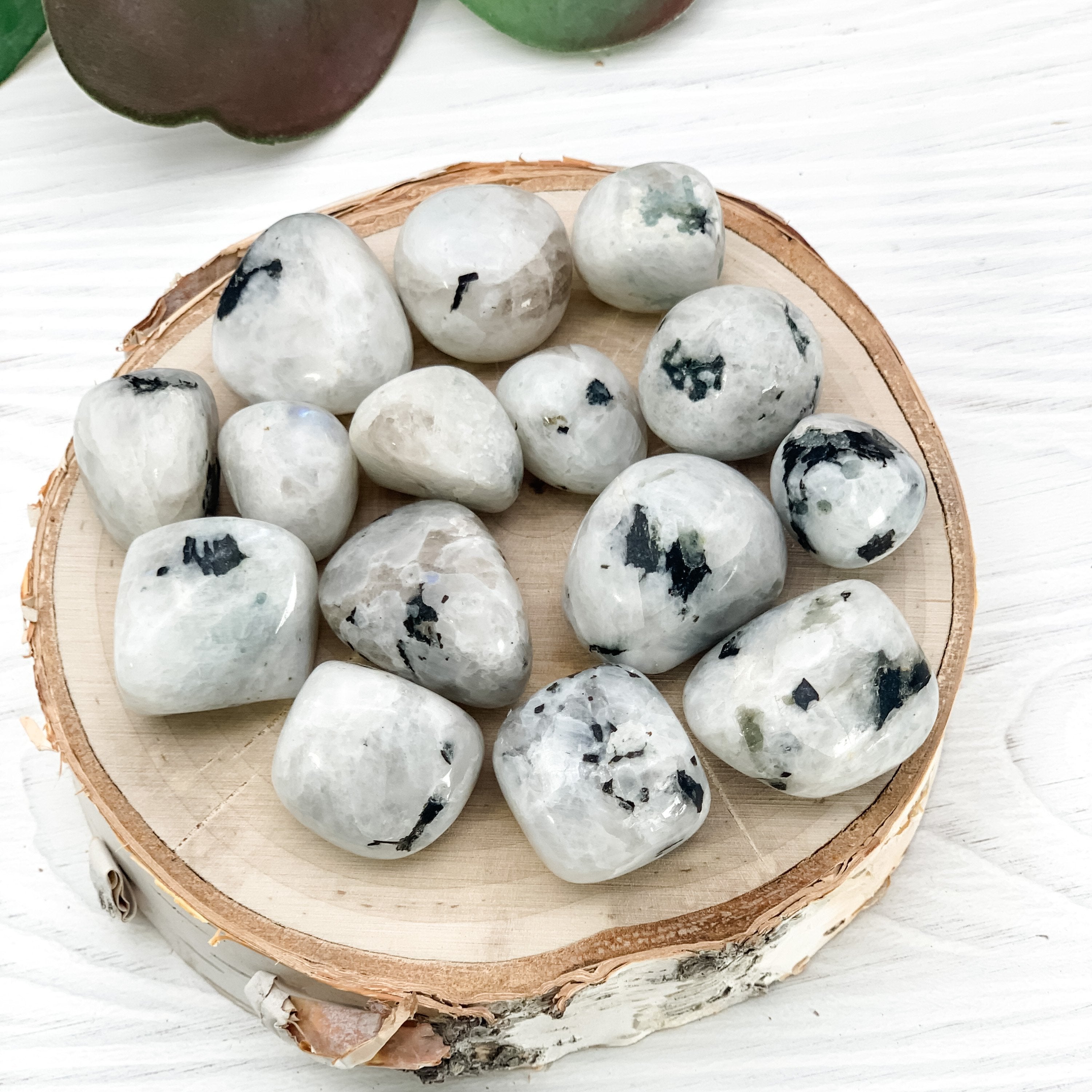 Rainbow Moonstone Crystal Tumbled - Interiors in Balance