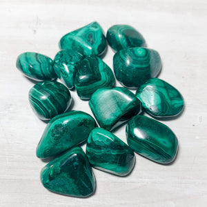 Malachite African Polished Tumbled Stone (1 Per Order) - Interiors in Balance