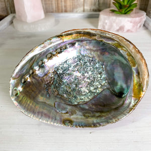 Abalone Shell, Natural Ocean Beauty - Interiors in Balance