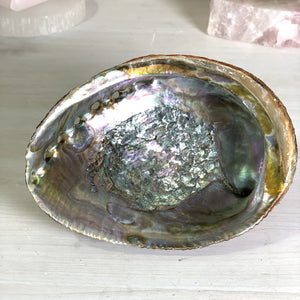 Abalone Shell, Natural Ocean Beauty - Interiors in Balance