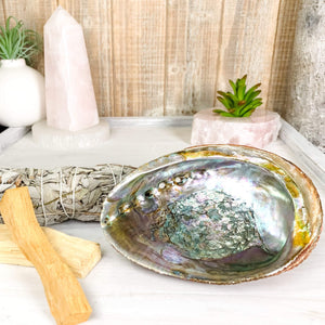 Abalone Shell, Natural Ocean Beauty - Interiors in Balance