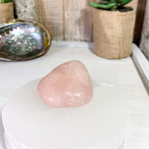 Rose Quartz, Massage Palm Crystal Hand Stone - Interiors in Balance