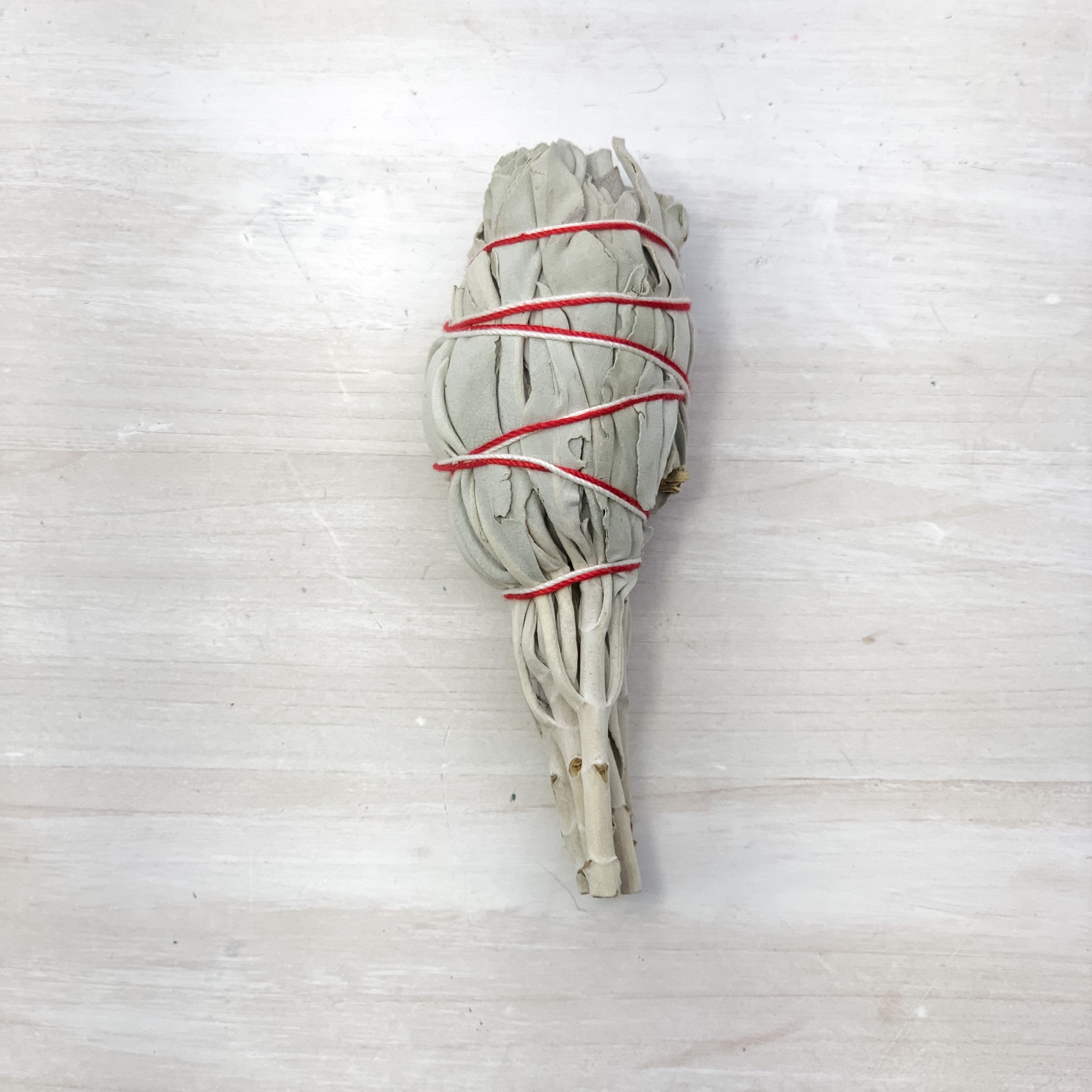 Smudging Kit: Abalone Shell, White Sage, Palo Stick - Interiors in Balance