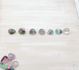 Fluorite Polished Tumbled Nugget (Green & Purple Banded Colors, 1 Crystal Per Order) - Interiors in Balance