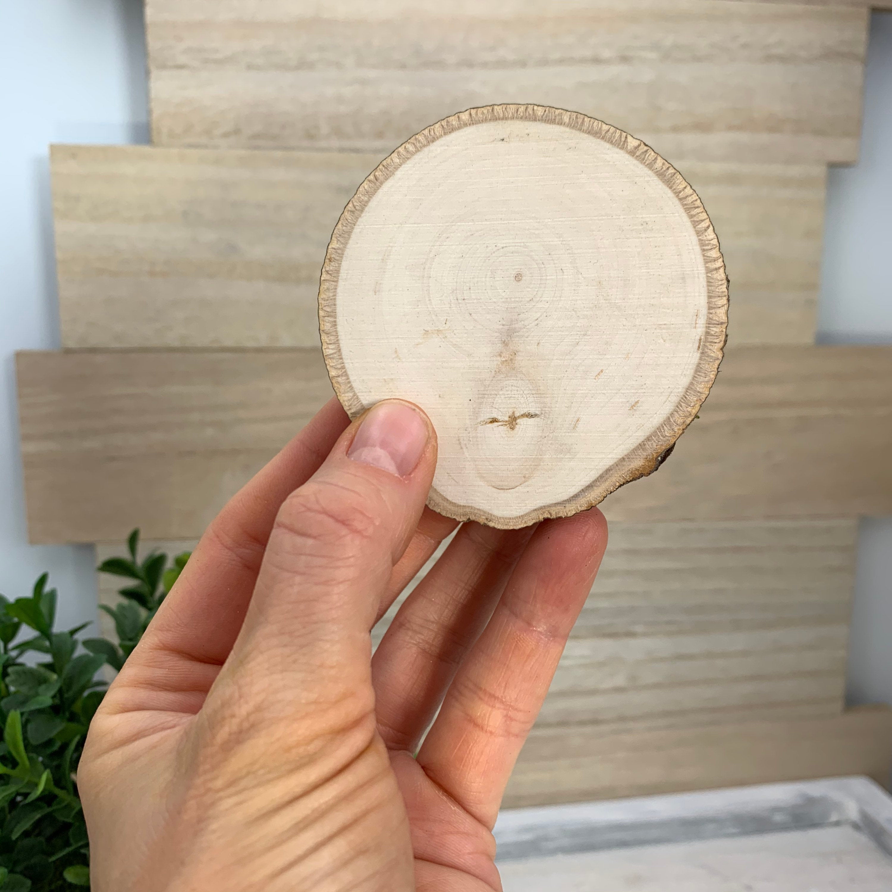 Wooden Tree Round, Disk Coaster – INTERIORS IN BALANCE