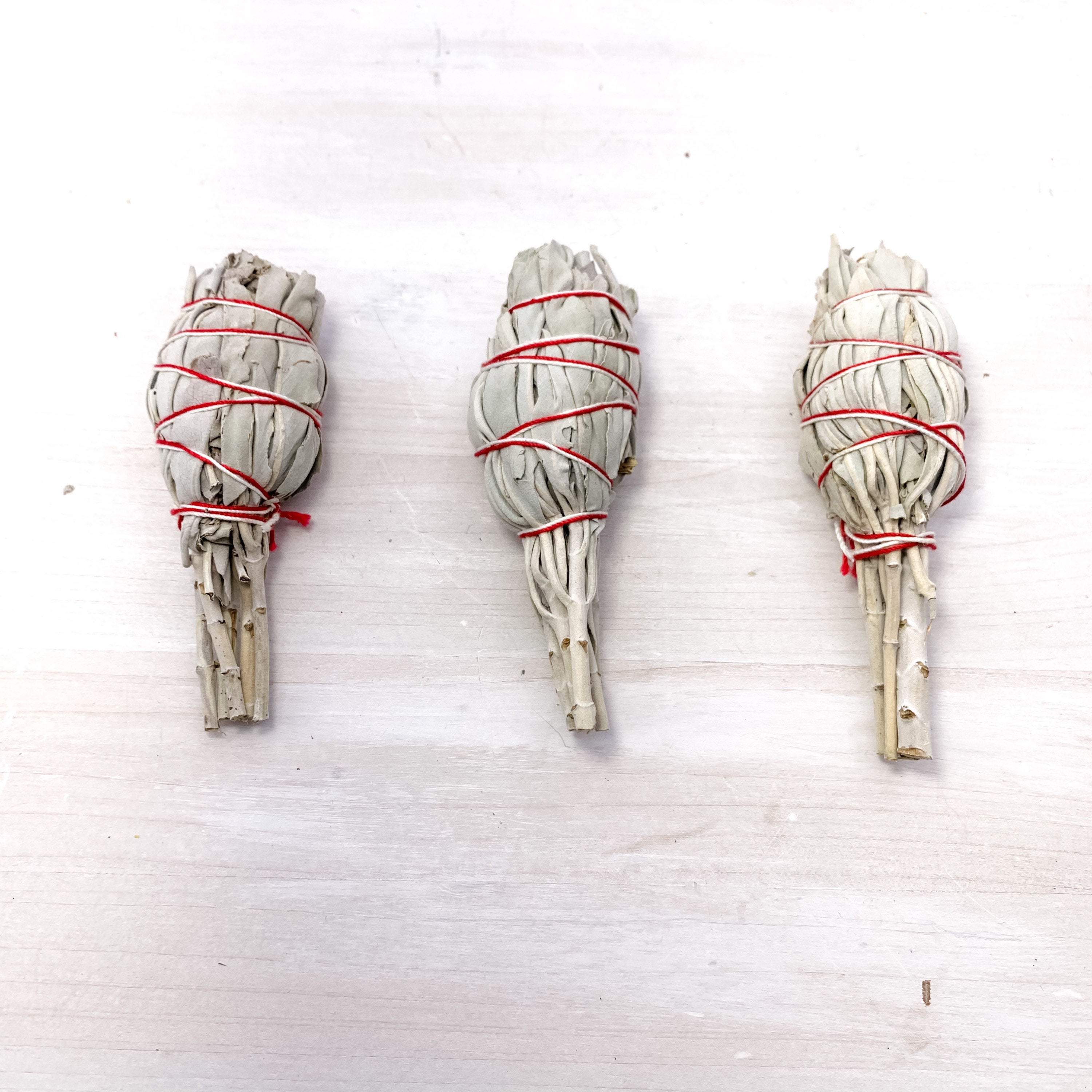 White Sage Torch Bundle - Interiors in Balance