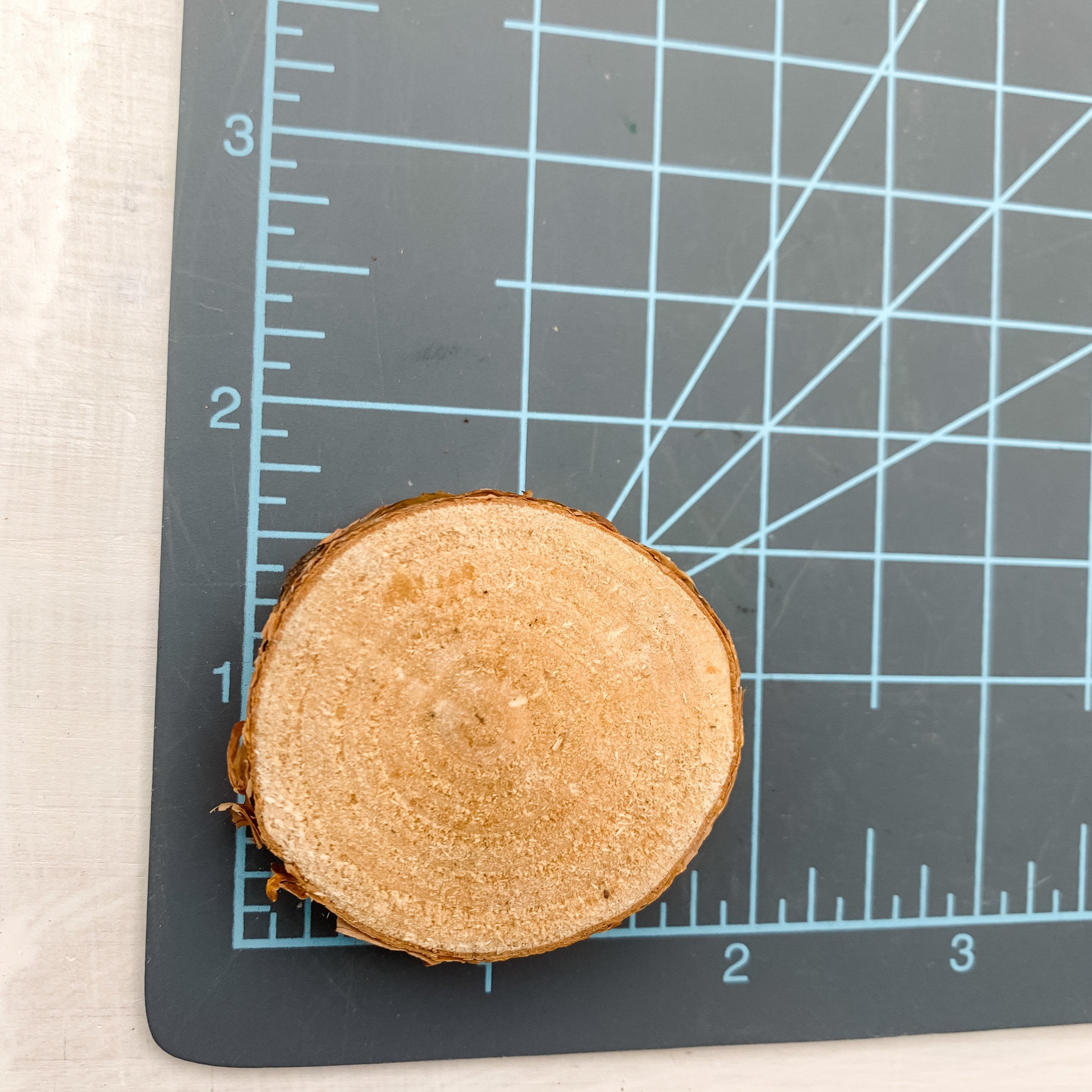 White Birch Tree Round Crystal Coaster - Interiors in Balance