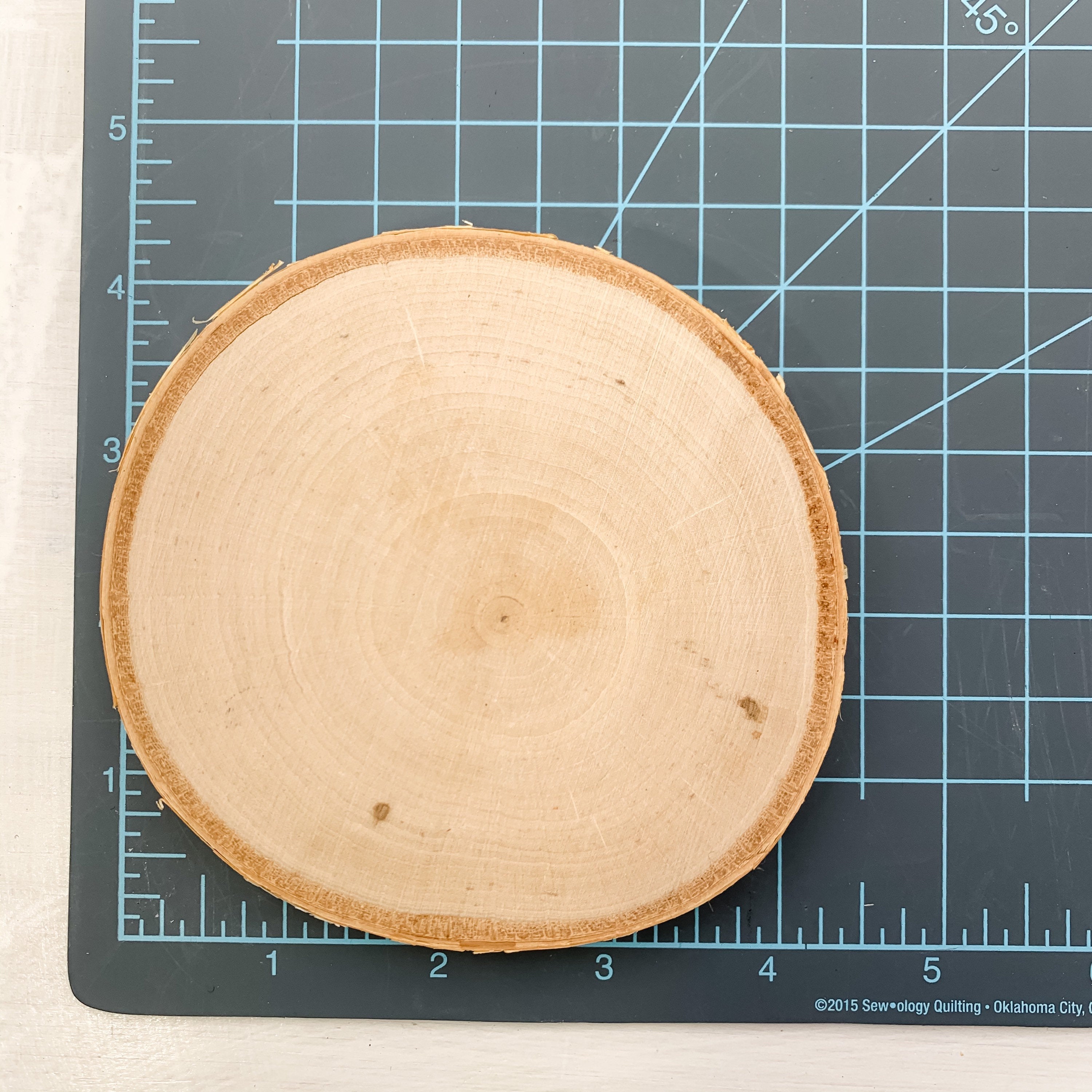 White Birch Tree Round Crystal Coaster - Interiors in Balance
