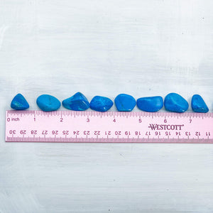 Blue Howlite Tumbled Polished Pocket Stone - 1 Per Order - Interiors in Balance