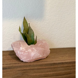 Raw Rose Quartz Candle/Succulent Holder